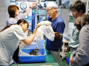 奄美動物病院（奄美市）が出張診察１４０５０５沖