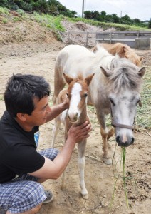 生まれたばかりのガイムと母親のフォーゼを見守る太孝一郎さん＝２１日、徳之島町花徳