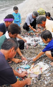大人の手ほどきを受け、追い込み漁で取れた魚をさばく児童ら＝２９日、奄美市名瀬の芦花部海岸