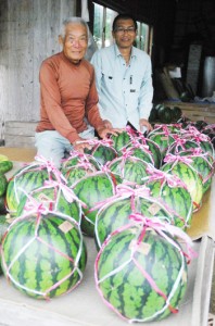 大玉スイカがずらりと並ぶ西田農園＝１６日、奄美市笠利町和野