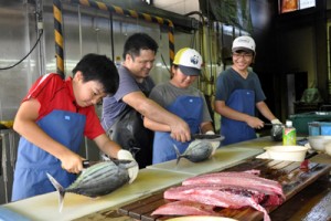 シマ博でマグロのさばき方を教わる子どもたち＝２７日、奄美市名瀬大熊町の宝勢丸鰹漁業生産組合