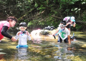 川の生き物観察に夢中になる参加者＝２８日、奄美市住用町