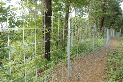 県営事業で、大和村の福元地区に設置されたイノシシ防護柵（資料写真）