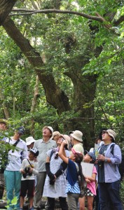 生物多様性保全の大切さも学んだ「奄美の自然じっくり体験会」＝１９日、龍郷町の奄美自然観察の森 