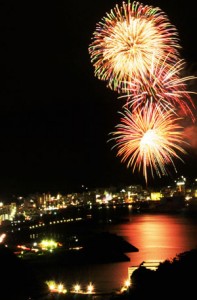 色とりどりの大輪の花が夜空を彩った奄美まつり花火大会＝４日、奄美市名瀬