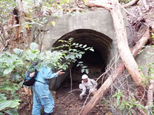 初確認の格納壕を調査するメンバー＝８日、瀬戸内町三浦（町立図書館・郷土館提供）