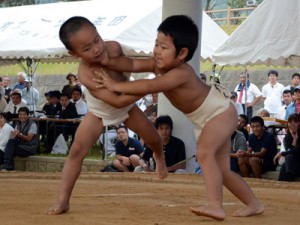 【個人６歳児未満決勝】会場を沸かせた豆力士の好取組＝１８日、太陽が丘総合運動公園相撲場