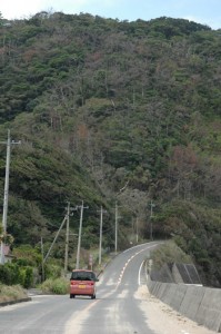 奄美市から大和村へと続く県道。上りとなる道路正面の左側に奄美市側のトンネル坑口が設けられる予定だ＝７日、奄美市名瀬根瀬部