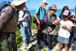 浜辺の植物などを学んだ自然観察会＝２３日、与論町のウドノス海岸