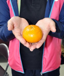 タンカンに次ぐ有望品種「津之輝」