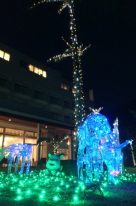 冬の夜空を彩るヤギやトナカイのイルミネーション＝１８日、奄美市名瀬の奄美山羊島ホテル
