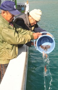 スジアラを放流するすみよう漁業集落のメンバーと稚魚＝９日、奄美市の住用湾