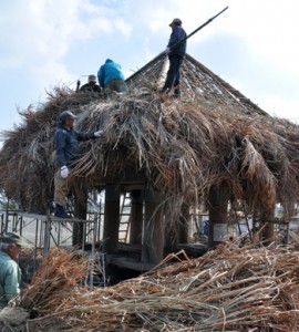 ふき替え作業が進む高倉＝１１日、和泊町根折