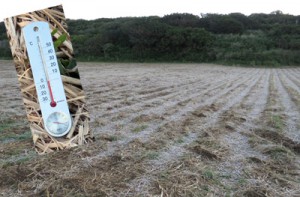 喜界町のサトウキビ畑で発生が確認された霜と、気温零度を示している寒暖計（伊地知告さん提供）