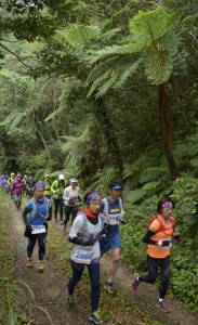 奄美の自然の中を駆け抜ける選手たち＝８日、大和村