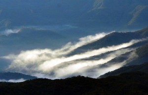 放射冷却現象で雲海が出現した奄美大島の山間部＝１１日朝、湯湾岳山頂から