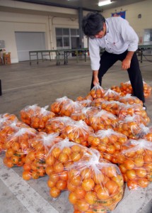 大玉の不足が全体的な高値推移を招いている奄美産タンカン＝１２日、奄美市名瀬