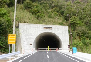 ２２日から供用開始される網野子トンネル＝瀬戸内町