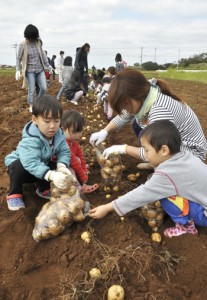 ジャガイモの収穫作業を体験したモニターツアーの参加者ら＝８日、伊仙町