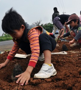 丁寧にソテツを植える子どもたち＝２２日、和泊町畦布