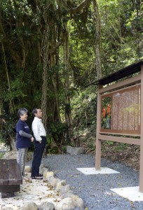 ガジュマル大木横に設置されたケンムン伝説の案内板＝３０日、宇検村湯湾