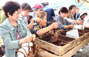 旬のイセエビを買い求める来場者＝２６日、奄美市名瀬の大熊漁港