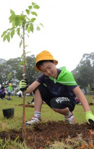 苗木の成長を願って植える大山緑の少年団＝２９日、知名町