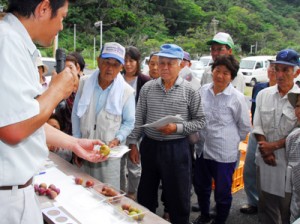 果実の着色など、収穫の目安を説明した目ぞろえ会＝２２日、大和村