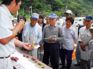 果実の着色など、収穫の目安を説明した目ぞろえ会＝２２日、大和村