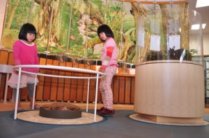 展示内容を充実し、年間利用者が１万人台に回復した奄美野生生物保護センター＝大和村思勝