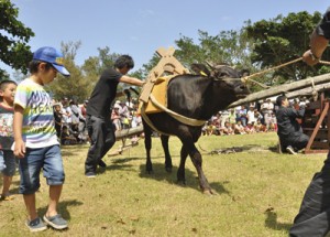 昔ながらのサタグンマの実演があった黒砂糖まつり＝５日、徳之島町