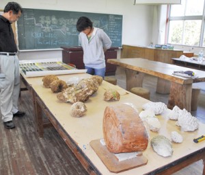 世界各地で収集されたサンゴの化石などの展示物＝喜界町