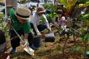 緑再生への願いを込め、苗を植える参加者＝３１日、与論町茶花のコースタルリゾート