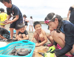 追い込み漁で取れた魚をさばく児童ら＝１４日、奄美市名瀬の有良海岸