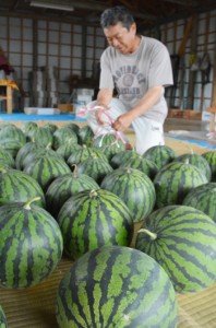 島内産のスイカがずらりと並ぶ露店＝７日、奄美市笠利町和野