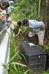 ノネコ捕獲用のかごわなと自動撮影カメラを設置する関係者ら＝２１日、徳之島町