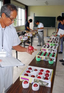 果皮の色など外観を見比べる審査員＝３日、奄美市名瀬の県農業開発センター大島支場