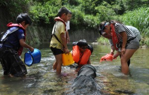 川の生き物を観察する児童ら＝８日、天城町