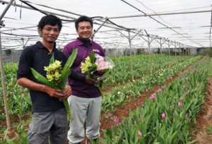 （右から）クルクマをＰＲする葉棚さんと三島さん＝和泊町