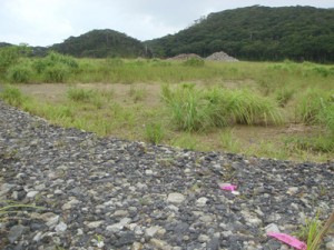 陸自の奄美警備部隊の配備先に示されている奄美市名瀬の大熊地区（上）と瀬戸内町節子地区