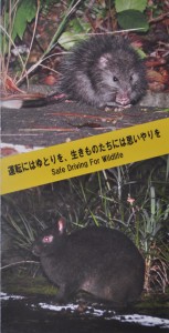 アマミノクロウサギなどの交通事故防止を呼び掛けるポスター