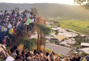 集落と田袋を見下ろす山の中腹で「ショチョガマ」を揺さぶる男衆＝１７日午前６時２７分ごろ、龍郷町秋名