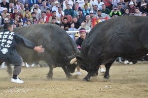 白熱した取り組みに沸いた全島一決定戦（右が初防衛を果たした天龍王）＝１８日、伊仙町