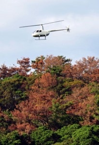 透明袋入りのテックス板のヘリコプターへの積み込み作業（●）と、空中散布のため山間部上空に飛来したヘリコプター＝１６日、奄美市笠利町