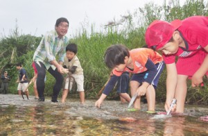 リュウキュウアユが産卵しやすいように川床を整える児童ら＝２９日、宇検村の河内川