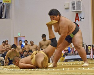 団体準々決勝。樟南中堅の磯が豪快なうわてなげで勝利＝１３日、奄美体験交流館