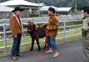 トカラ馬のティンを連れて散歩する白石さん（中央）。住民も温かく見守る＝１１日、大和村戸円