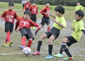 ３８チームが出場し、熱戦の火ぶたを切った南海日日新聞社旗少年サッカー大会＝３０日、奄美市の古見方多目的広場