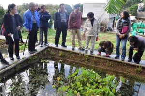 地元ガイドの案内で、ビオトープを見学するツアー参加者＝１月３１日、知名町瀬利覚