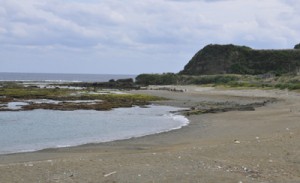 土砂の積出施設の建設が計画された南原海岸＝２６日、徳之島町